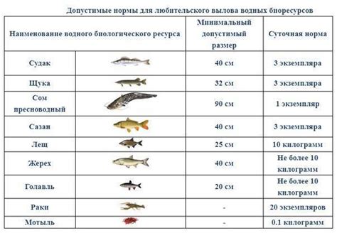 Шаг 2: Определение формы и размера рыбы