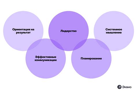 Шаг 2: Развитие профессиональных навыков и компетенций