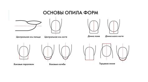 Шаг 2: Создание основы ногтя