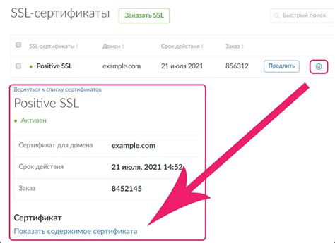 Шаг 3: Выбор домена и отключение SSL