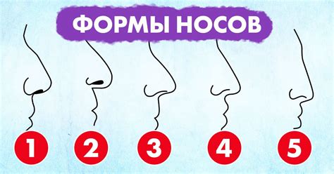 Шаг 3: Детализация формы носа