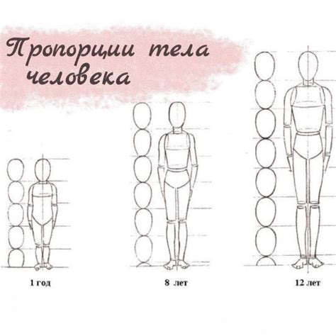 Шаг 3: Работа с пропорциями тела