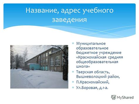 Шаг 3: Указывайте официальное название учебного заведения