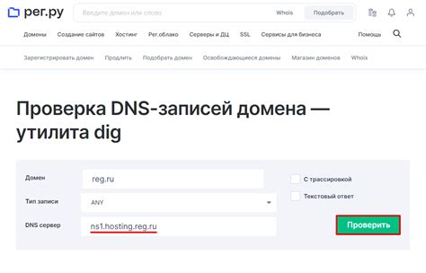 Шаг 3: Установка DNS-записей