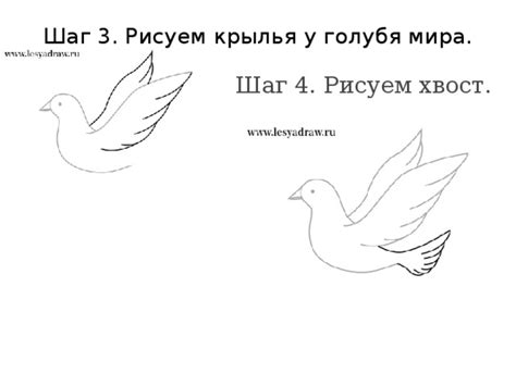 Шаг 3. Рисуем крылья и голову