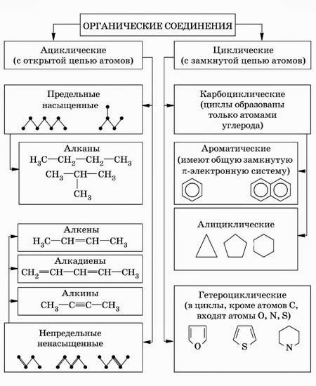 Шаг 4: Внесение органических соединений и посев жизни