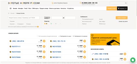 Шаг 4: Реклама и продвижение платного номера