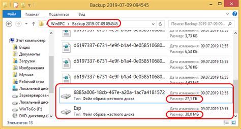 Шаг 5: Копирование файлов шкурки в папку с игрой