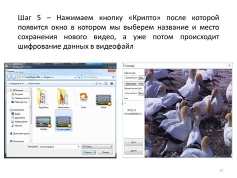Шаг 5: Нажимаем на кнопку "Сохранить" и дожидаемся завершения экспорта