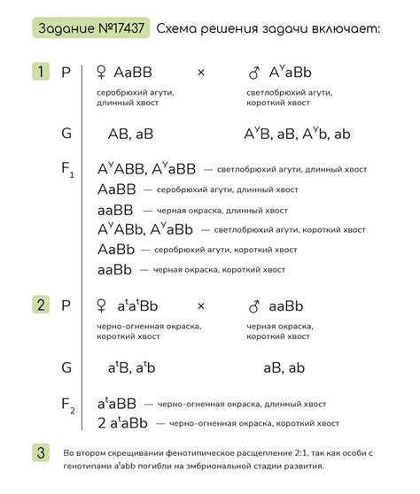 Шаг 5: Отображение окраски шерсти