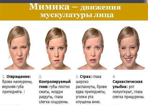 Шаг 5. Окончательные штрихи: глаза и характерные черты