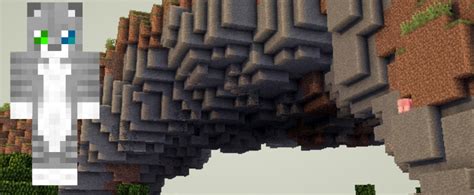 Шаг 6: Сохраните и импортируйте кота-скин в Minecraft