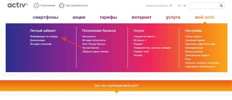 Шаг 8: Проверка баланса и условий тарифа