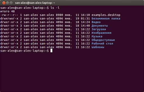 Шаг 9. Успешно создан файл в Ubuntu через консоль!