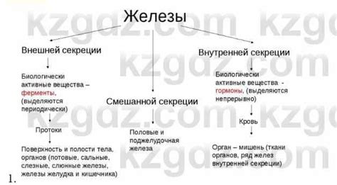 Шестой способ: анализ уровня гормонов с помощью домашнего теста