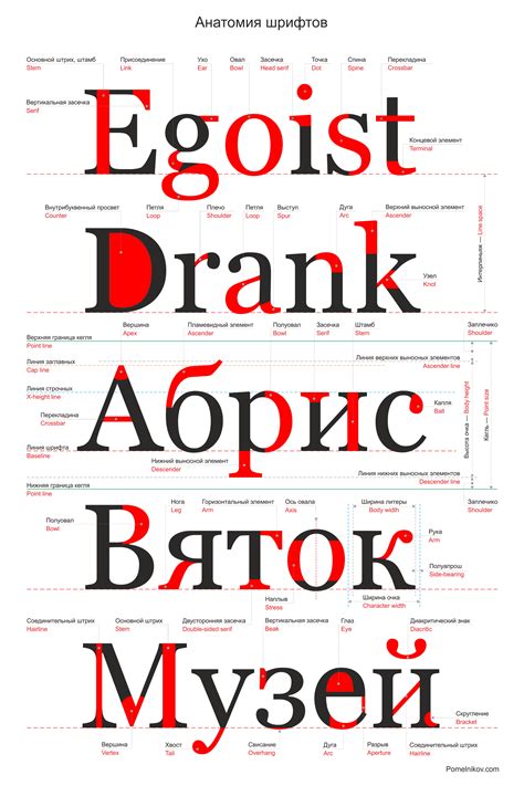 Шрифты и графика: гармоничное сочетание