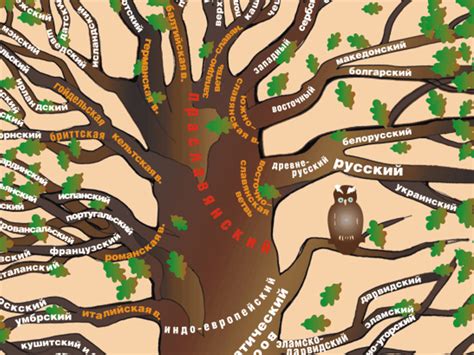 Эволюционные процессы в развитии языков