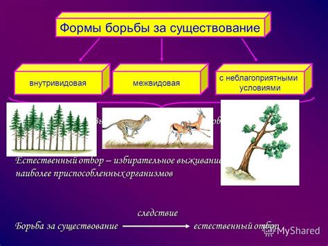 Эволюция и природный отбор