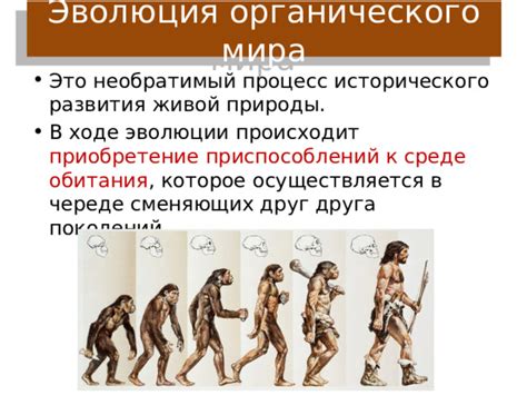 Эволюция разнообразия приспособлений