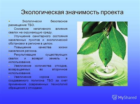 Экологическая значимость озонирования воздуха