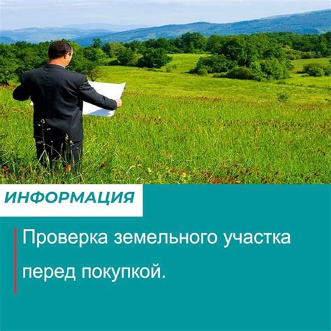 Экологическая проверка земельного участка
