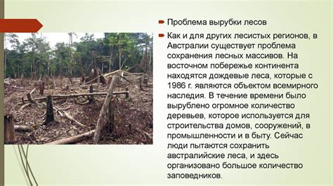 Экологические последствия деятельности полигона