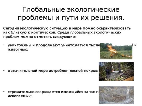 Экологические проблемы и регулирование