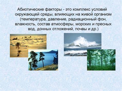 Экологические факторы, влияющие на формирование цены на трамваи в Туле
