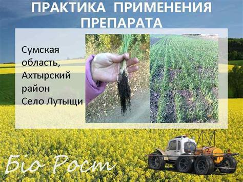 Экологически чистое производство урожая