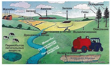 Экологическое воздействие Оямы
