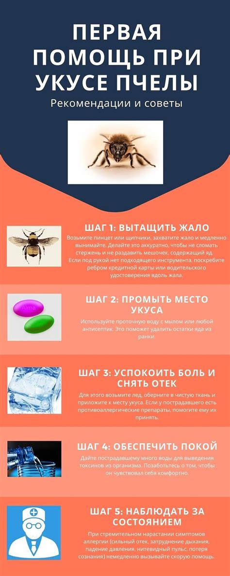 Экстренные меры после укуса пчелы