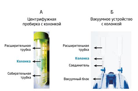 Электрофорез как метод фракционирования нуклеиновых кислот