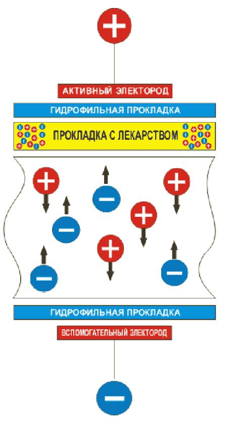 Электрофорез - метод определения количества ионов: