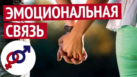 Эмоциональная близость братьев и царевны: взаимная поддержка и важность взаимоотношений