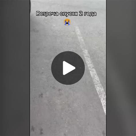 Эмоциональная связь с хозяином