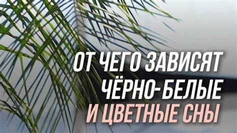 Эмоциональное состояние и сны