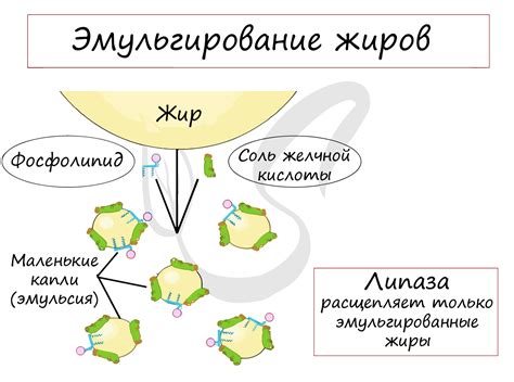 Эмульгирование