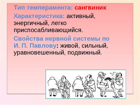Энергичность и решительность сангвиника-холерика