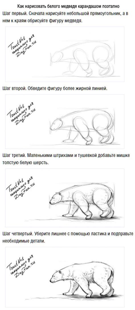 Эскизирование медведя на льдине