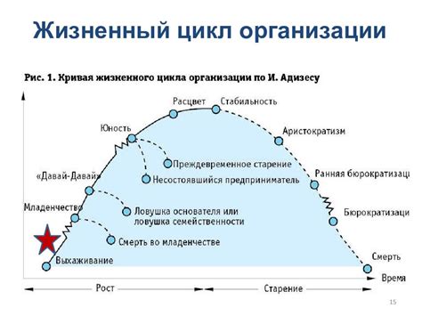 Этапы организации конвоя