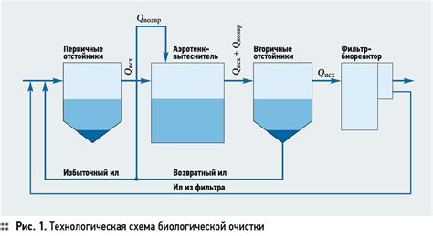 Этапы процесса очистки кальмаров