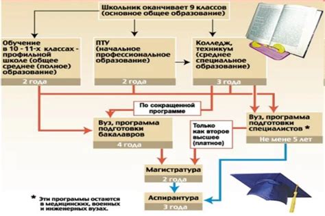 Этапы процесса получения европаспорта