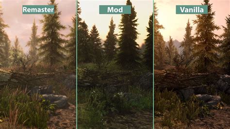 Этап 1: Скачайте и обновите игру Skyrim Special Edition