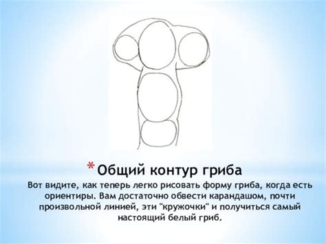 Этап 2: Общий контур гриба