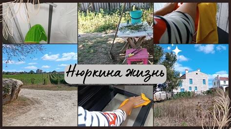 Эффективная уборка