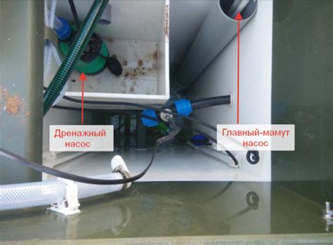 Эффективность бактерий в септике Топас