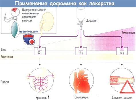 Эффективность препарата и его механизм действия