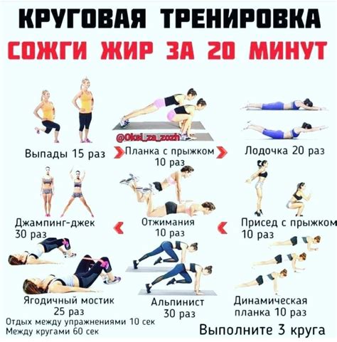 Эффективность сжигания жира во время тренировок на выносливость