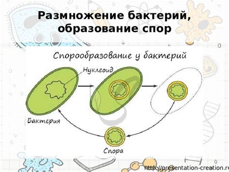 Эффективность спирта: убийство бактерий в считанные секунды