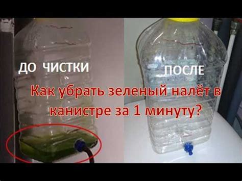 Эффективные методы очистки питьевой канистры от зелени
